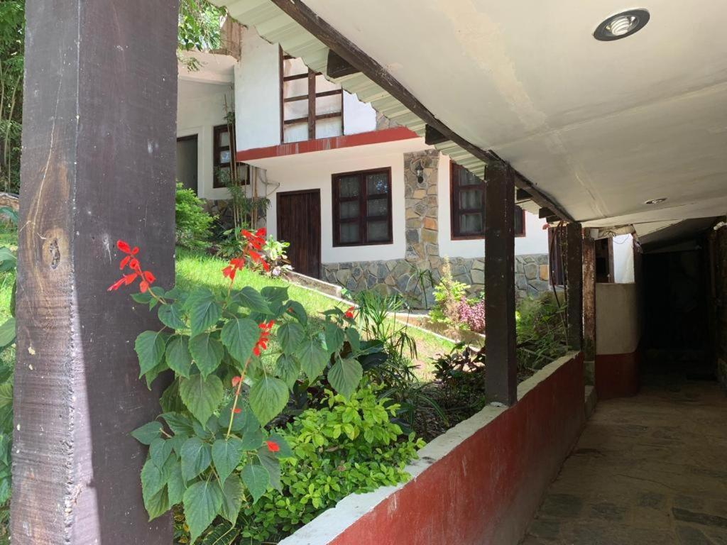 Finca Quinta Los Cedros Хилитла Экстерьер фото
